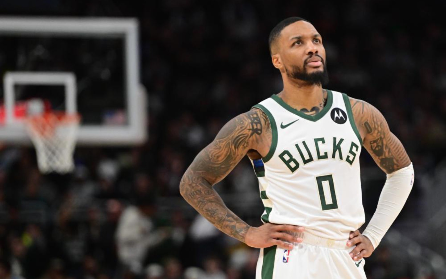 术多样性上 术多样性上