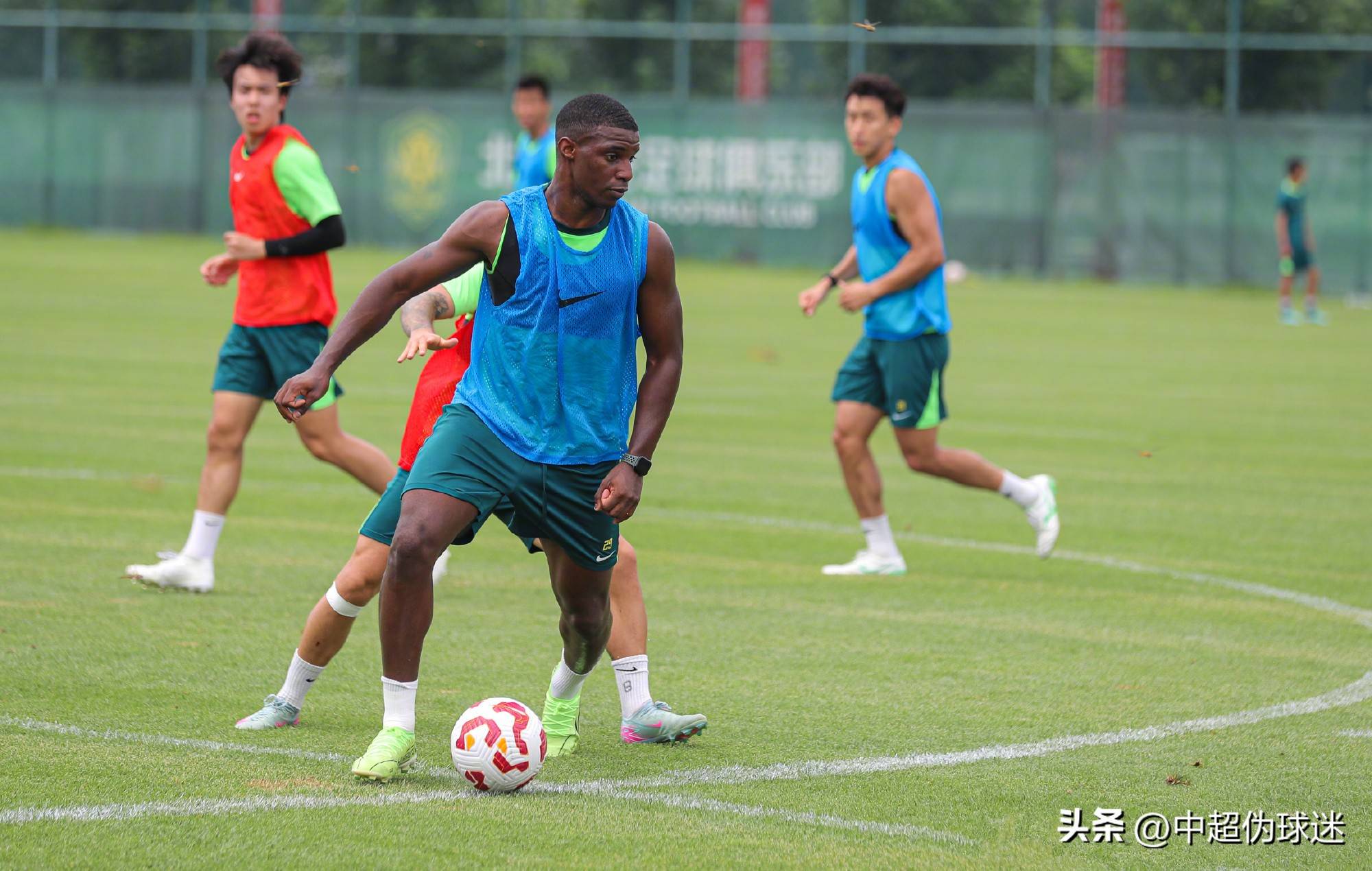 仔细的研究 仔细的研究